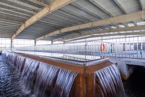 怎么保养多功效微型过滤机？？？？